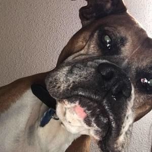 Meet your Posher, Nora